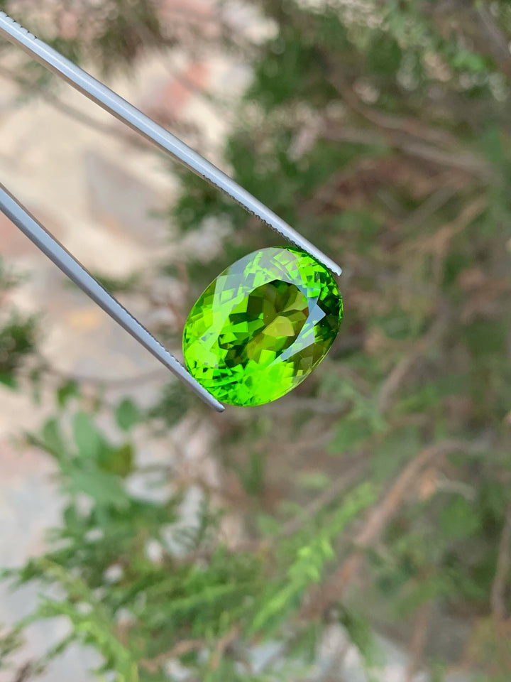 Lime Green Peridot Gemstone: Natural Oval August Birthstone (26.90 Carat)