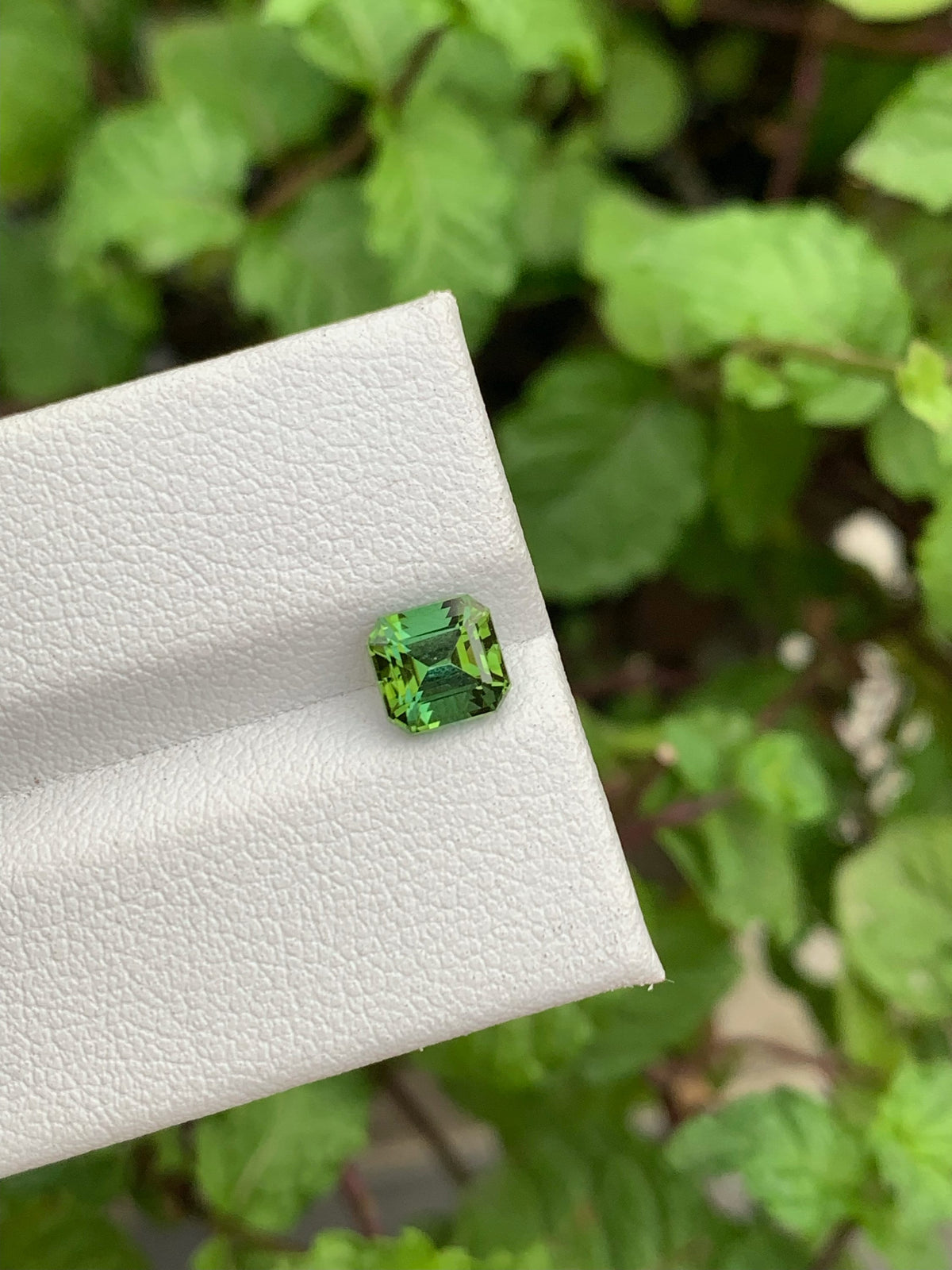 Natural Blue Green Tourmaline Gemstone: Asscher Cut, Jaba Mine (1.20 Carat)