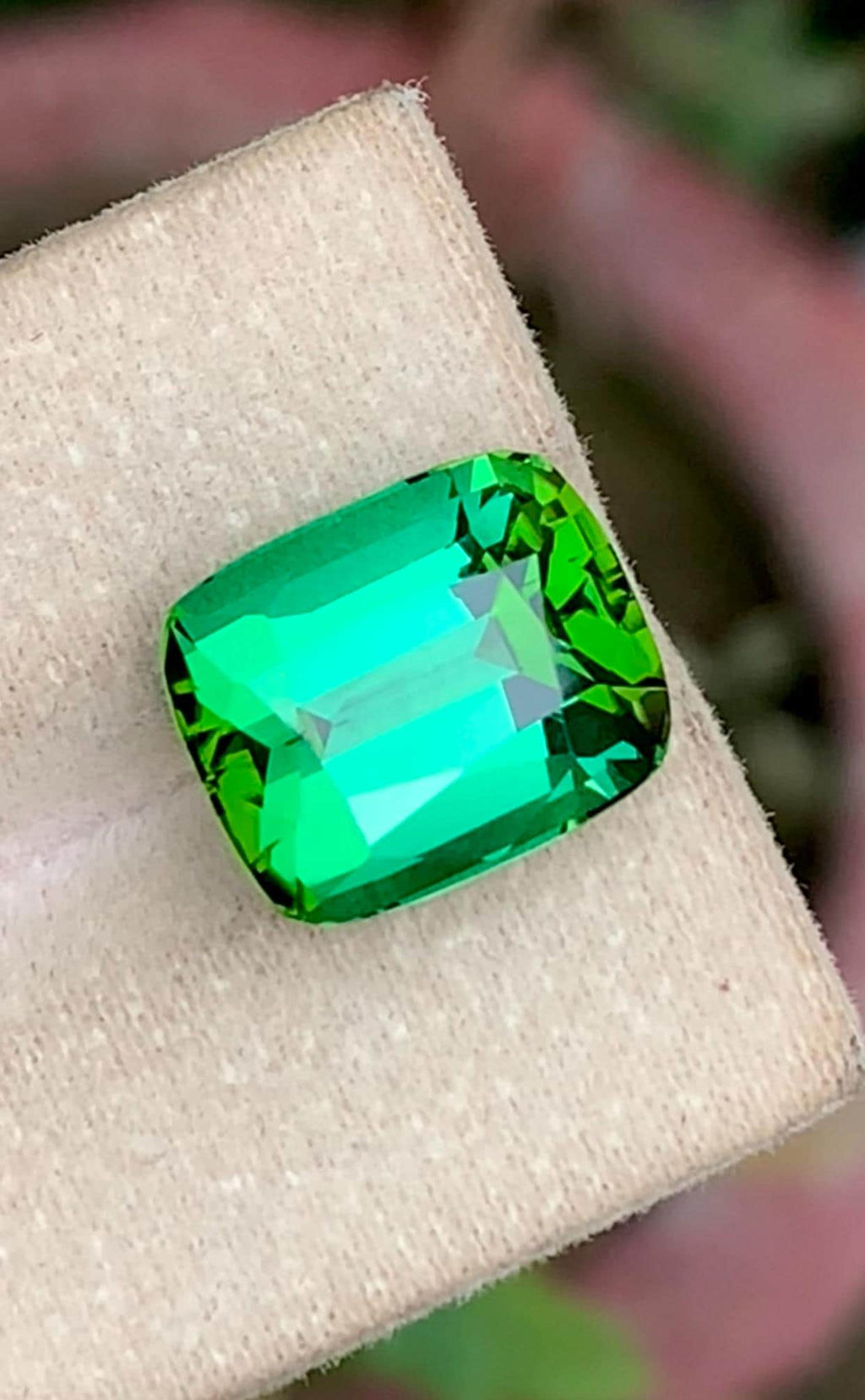 Bluish Green Tourmaline 9.87 Carat cushion Cut Loose Gemstone