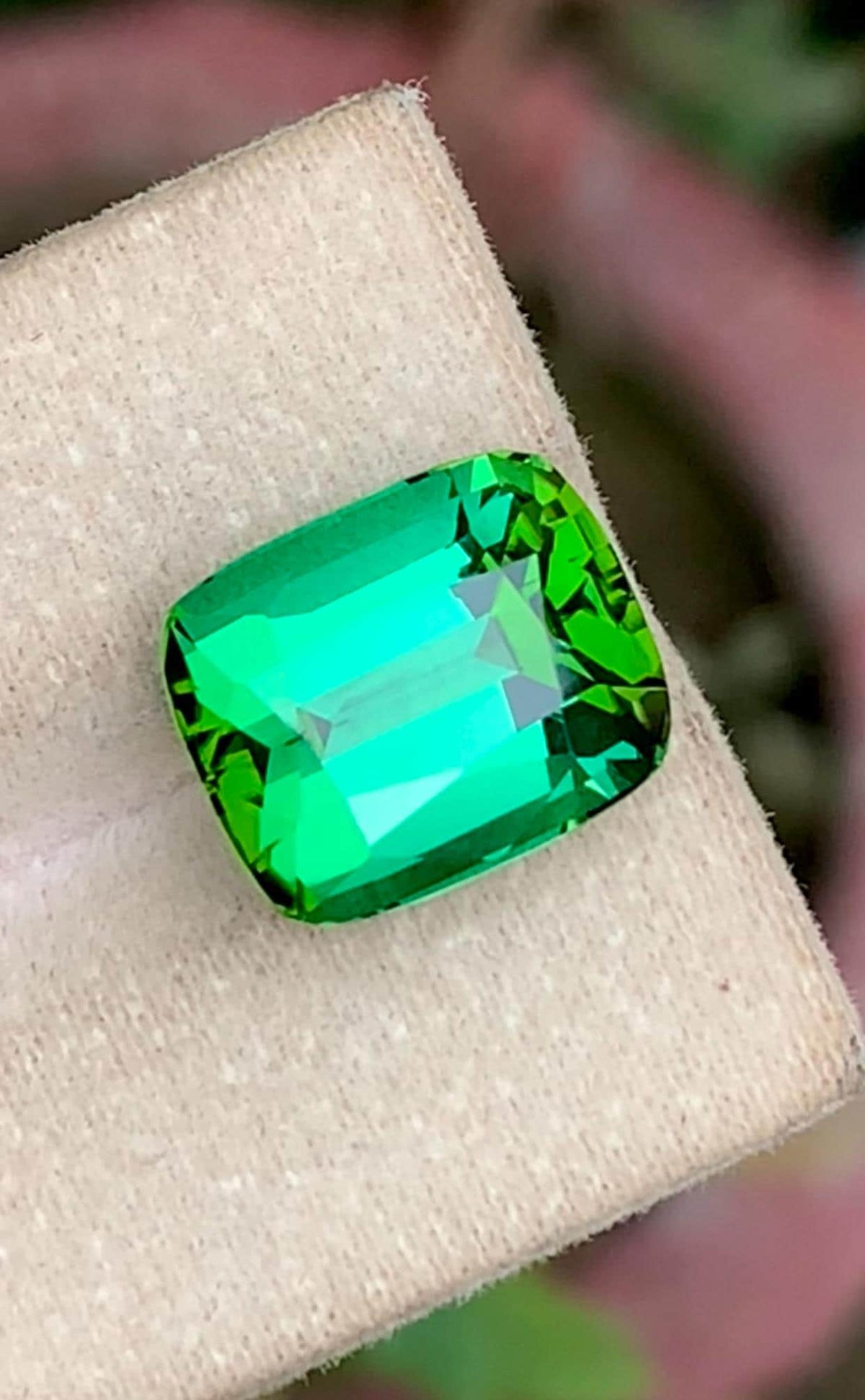 Bluish Green Tourmaline 9.87 Carat cushion Cut Loose Gemstone