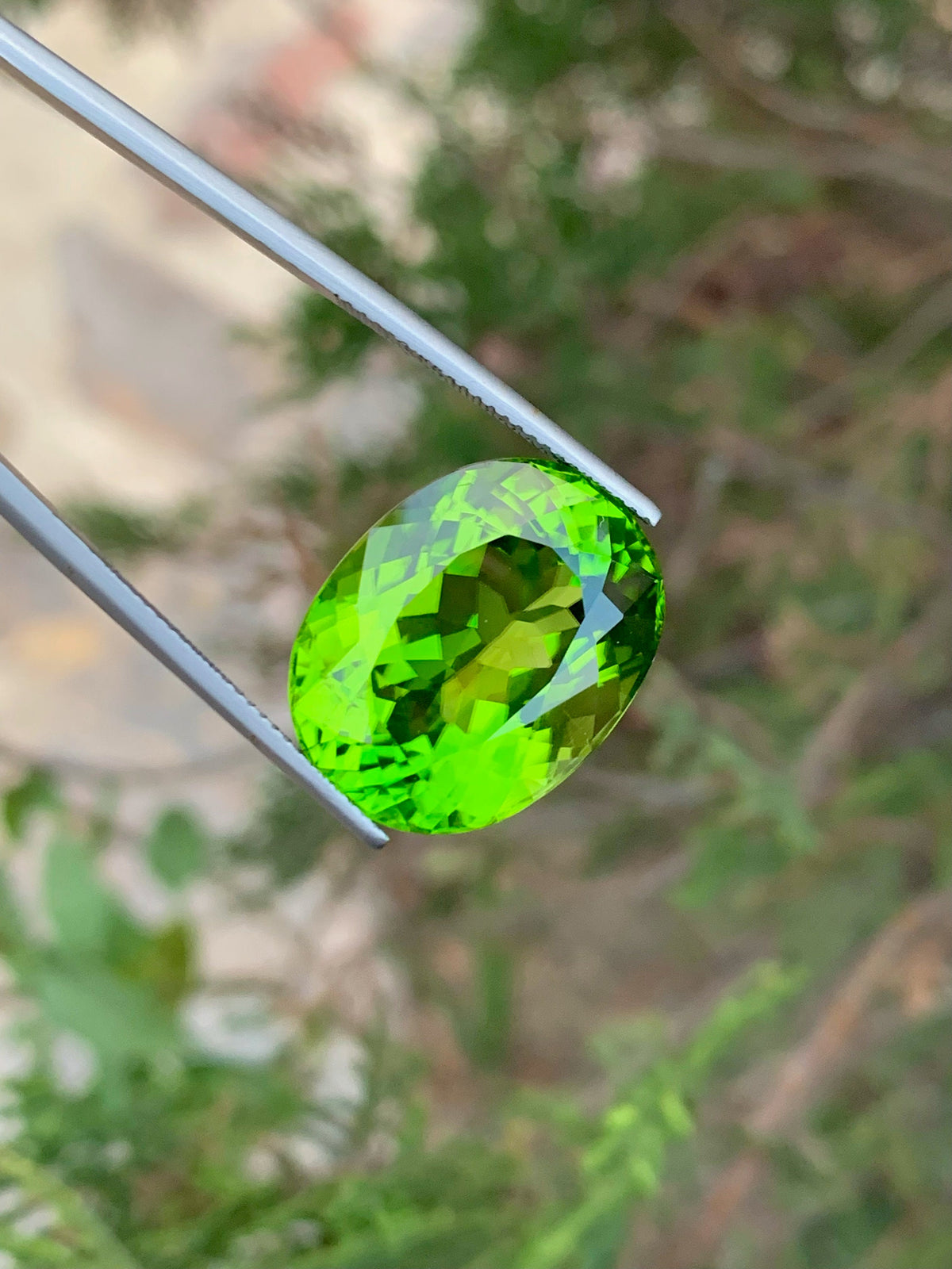 Lime Green Peridot Gemstone: Natural Oval August Birthstone (26.90 Carat)