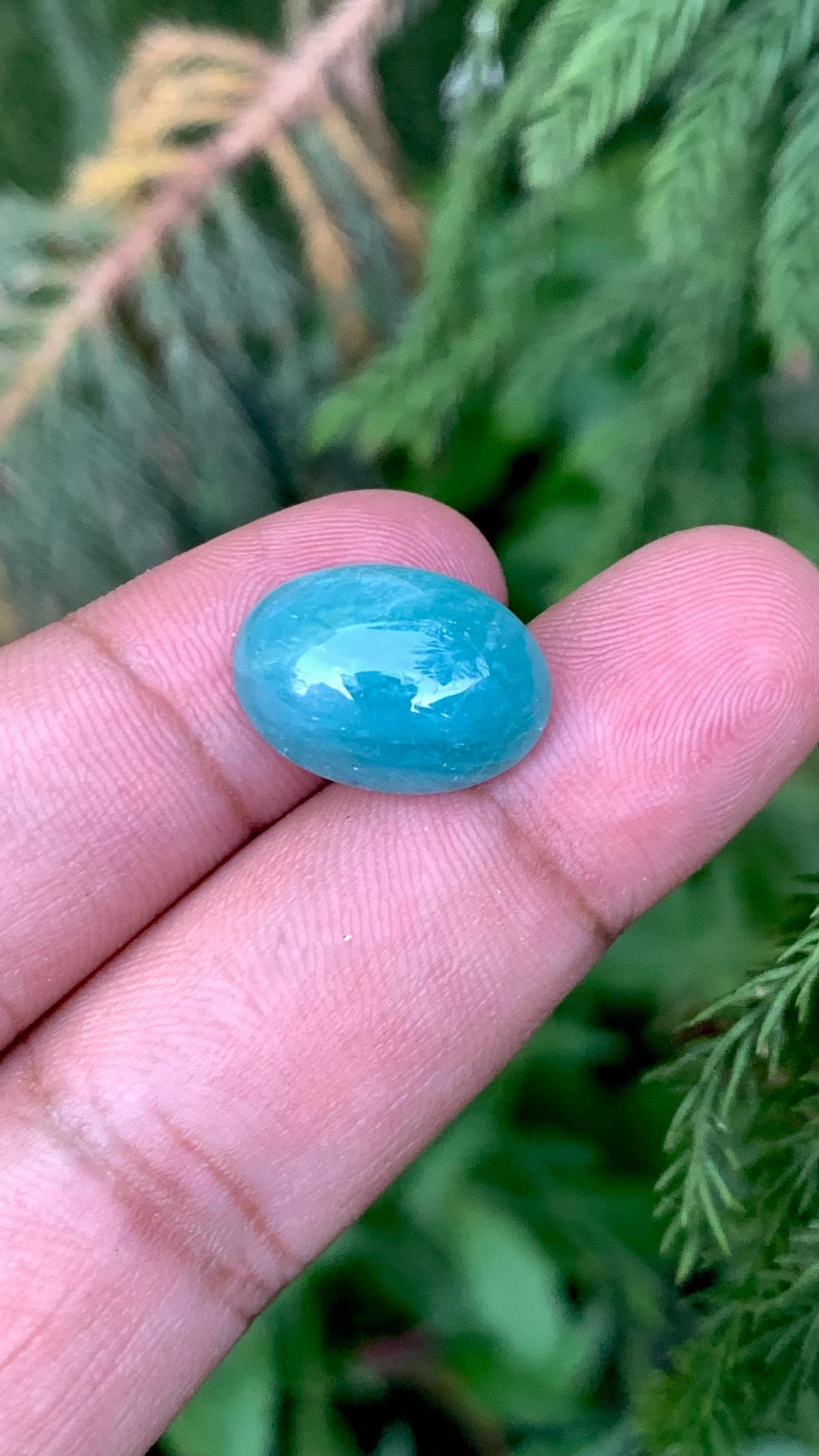 Grandidierite Gemstone Cabochon: Bluish Green, Rare Madagascar Stone, 11.50 Carats