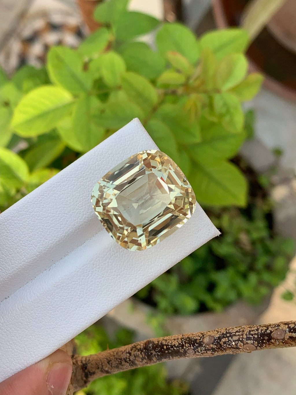 Golden Peach Triphane Var Kunzite Loose Gemstone Cushion Cut ~ 51.65 Carats