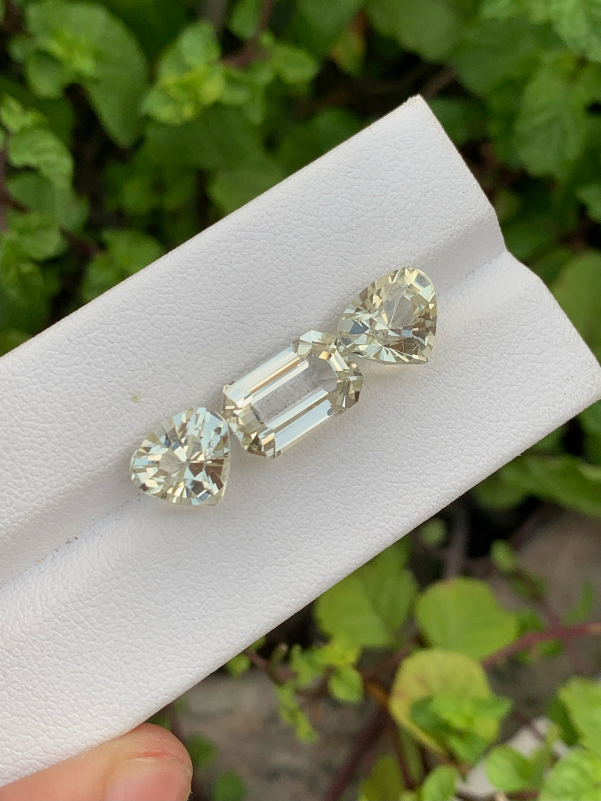 Natural yellow Kunzite set Gemstones - 15.05 Carats
