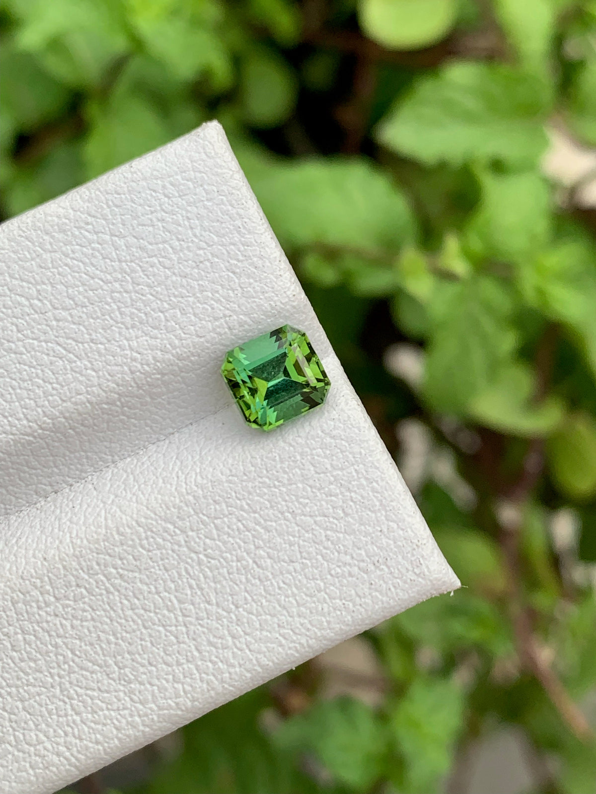 Natural Blue Green Tourmaline Gemstone: Asscher Cut, Jaba Mine (1.20 Carat)
