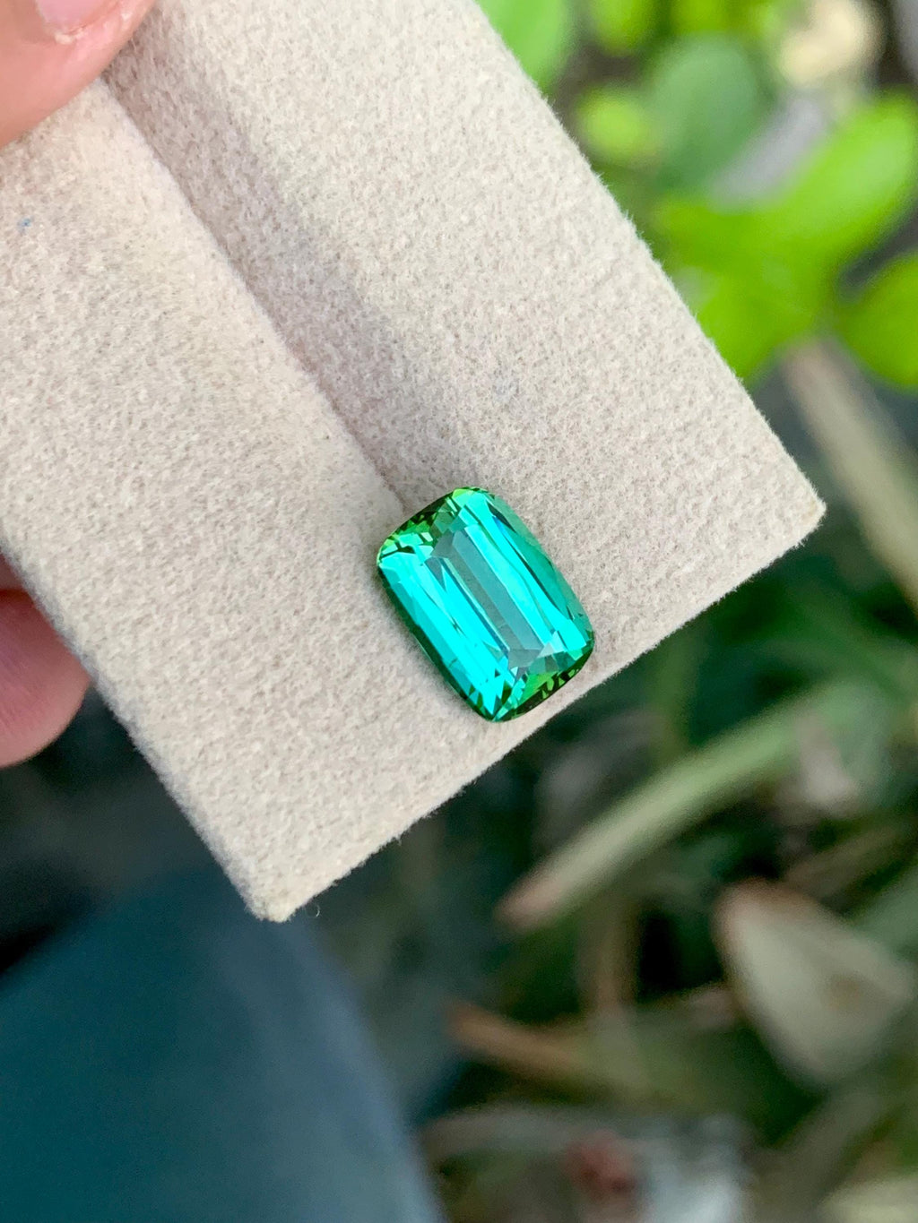 3.35 CT Blue Green Tourmaline Gemstone: Cushion Cut, Jaba Mine