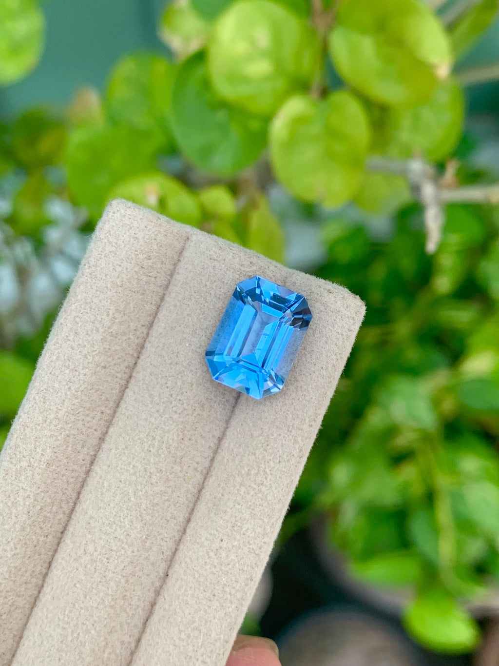 Santa Maria Aquamarine Gemstone: Loose Emerald Cut, 5.05 CT, March Birthstone