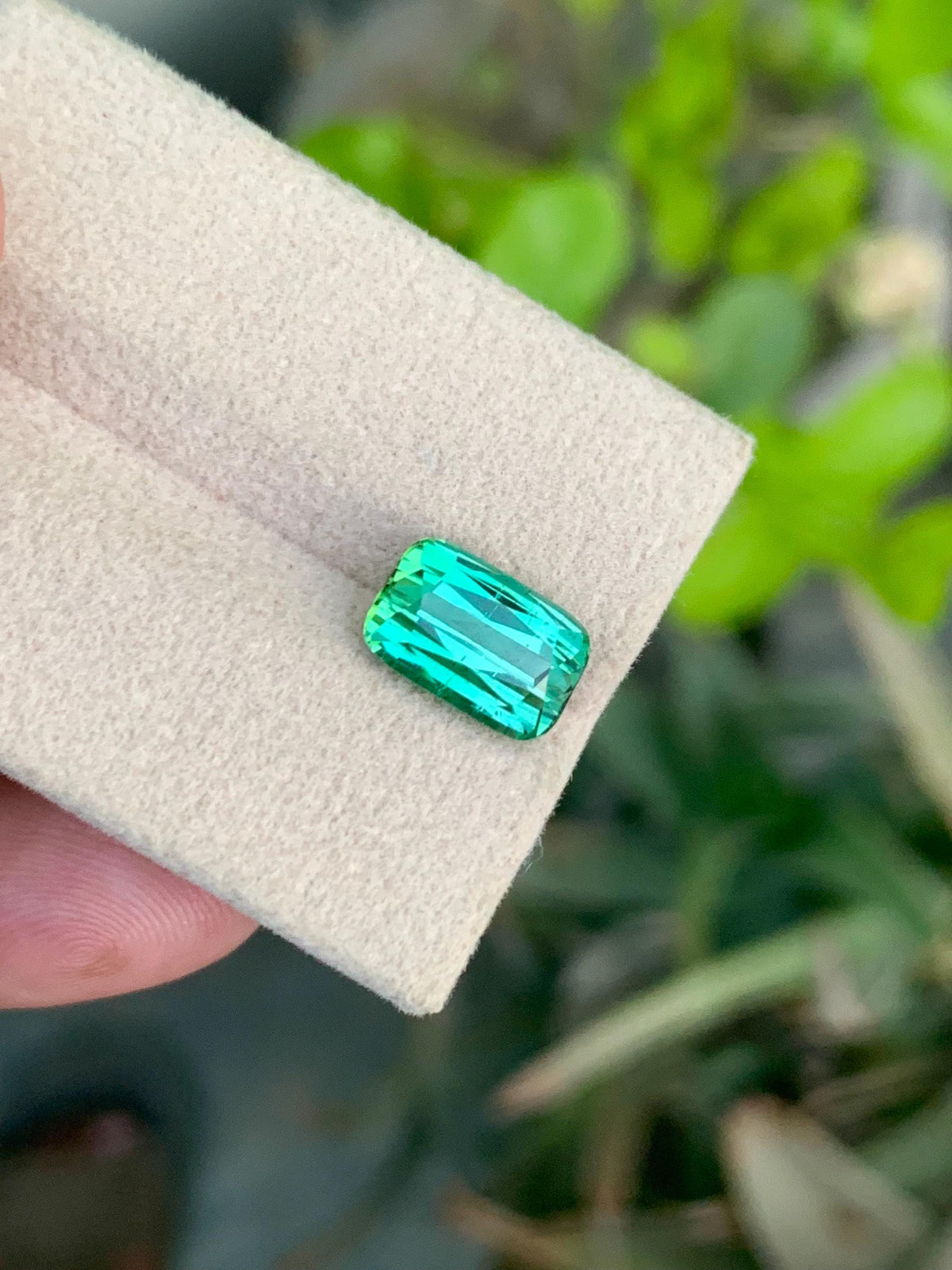 Green Tourmaline Gemstone: 3.70CT Cushion Cut, Afghanistan Origin