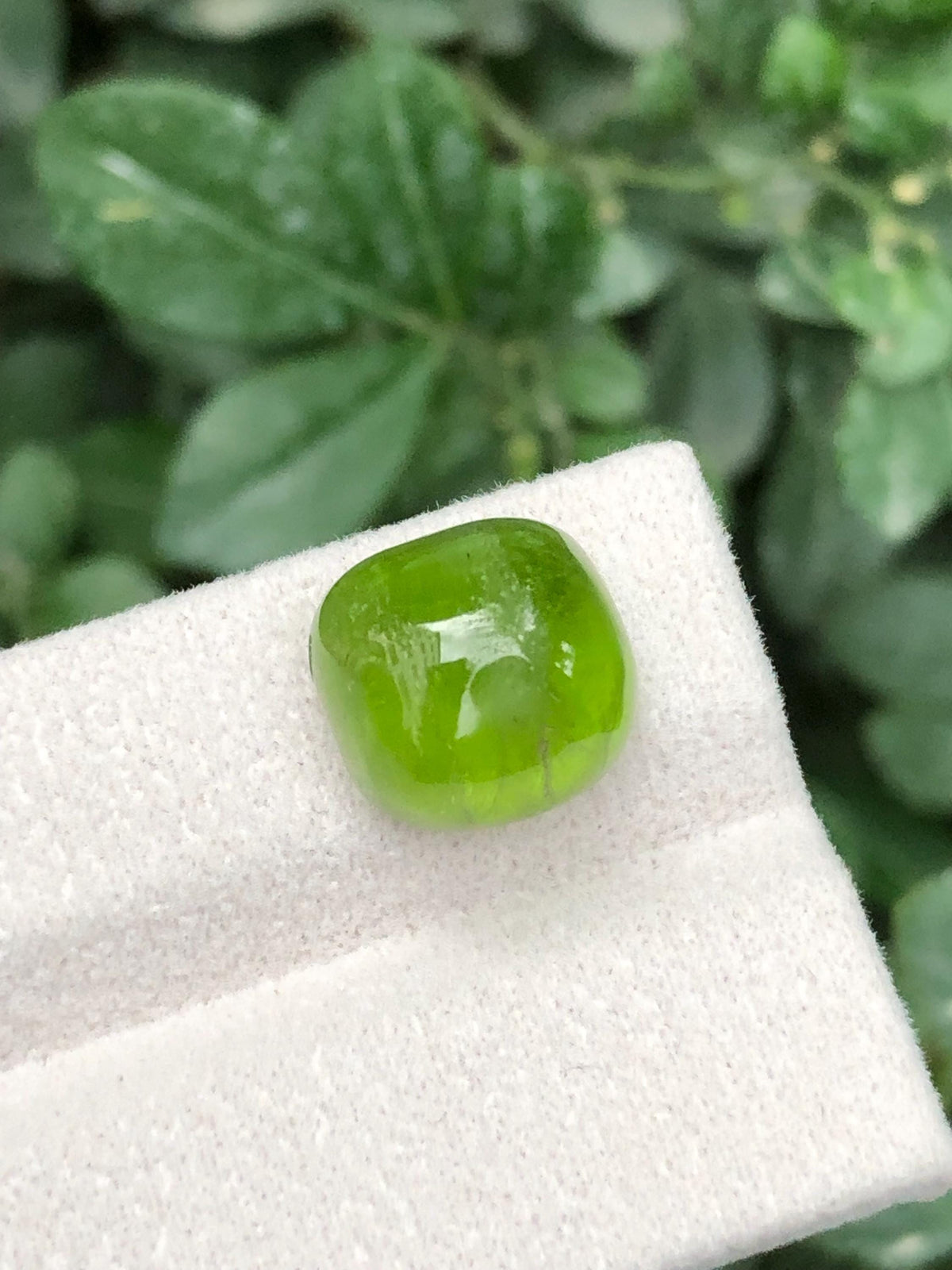 Green Peridot 14.15ct Cabochon Gemstone from Pakistan