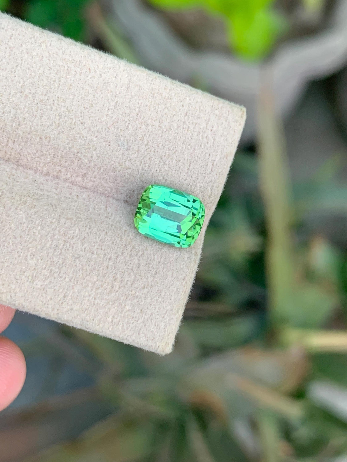 Bluish Green Tourmaline Gemstone: 2.50 CT Cushion Cut, Afghanistan