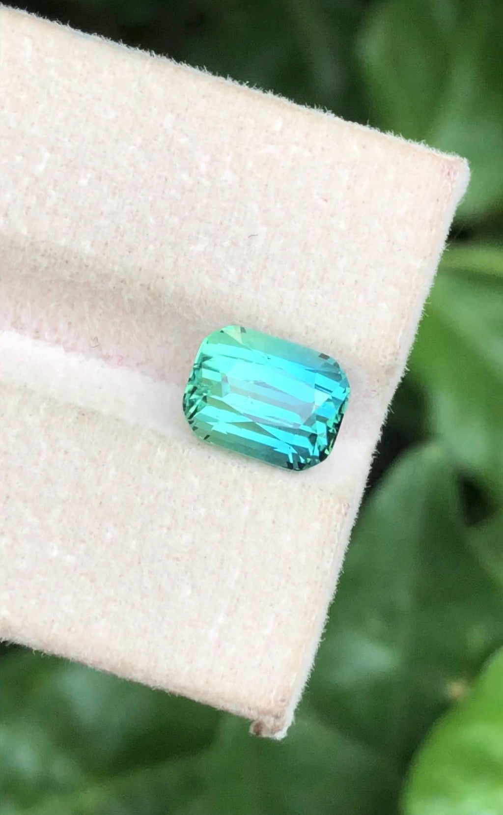 Lagoon Tourmaline 2.90ct Cushion Cut Gemstone from Afghanistan