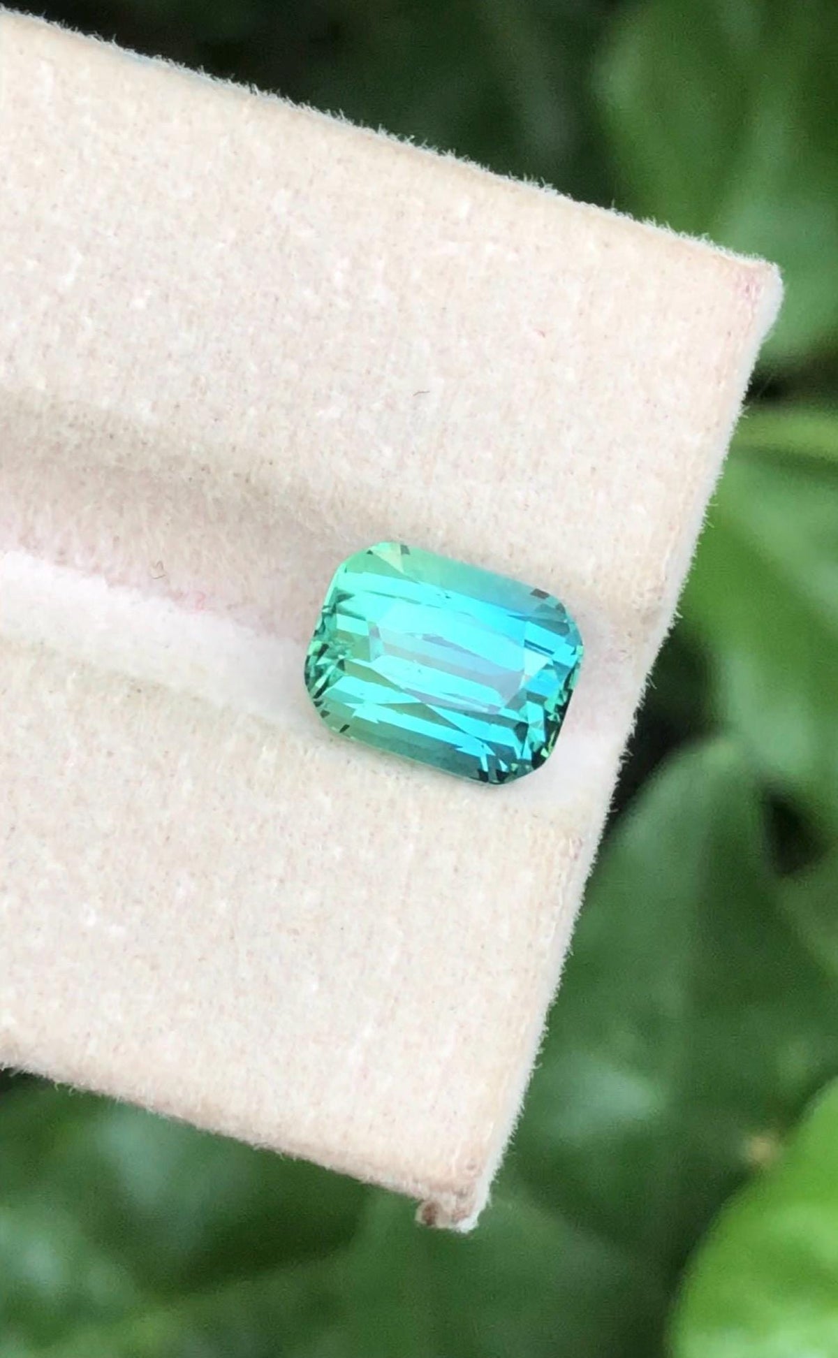 Lagoon Tourmaline 2.90ct Cushion Cut Gemstone from Afghanistan