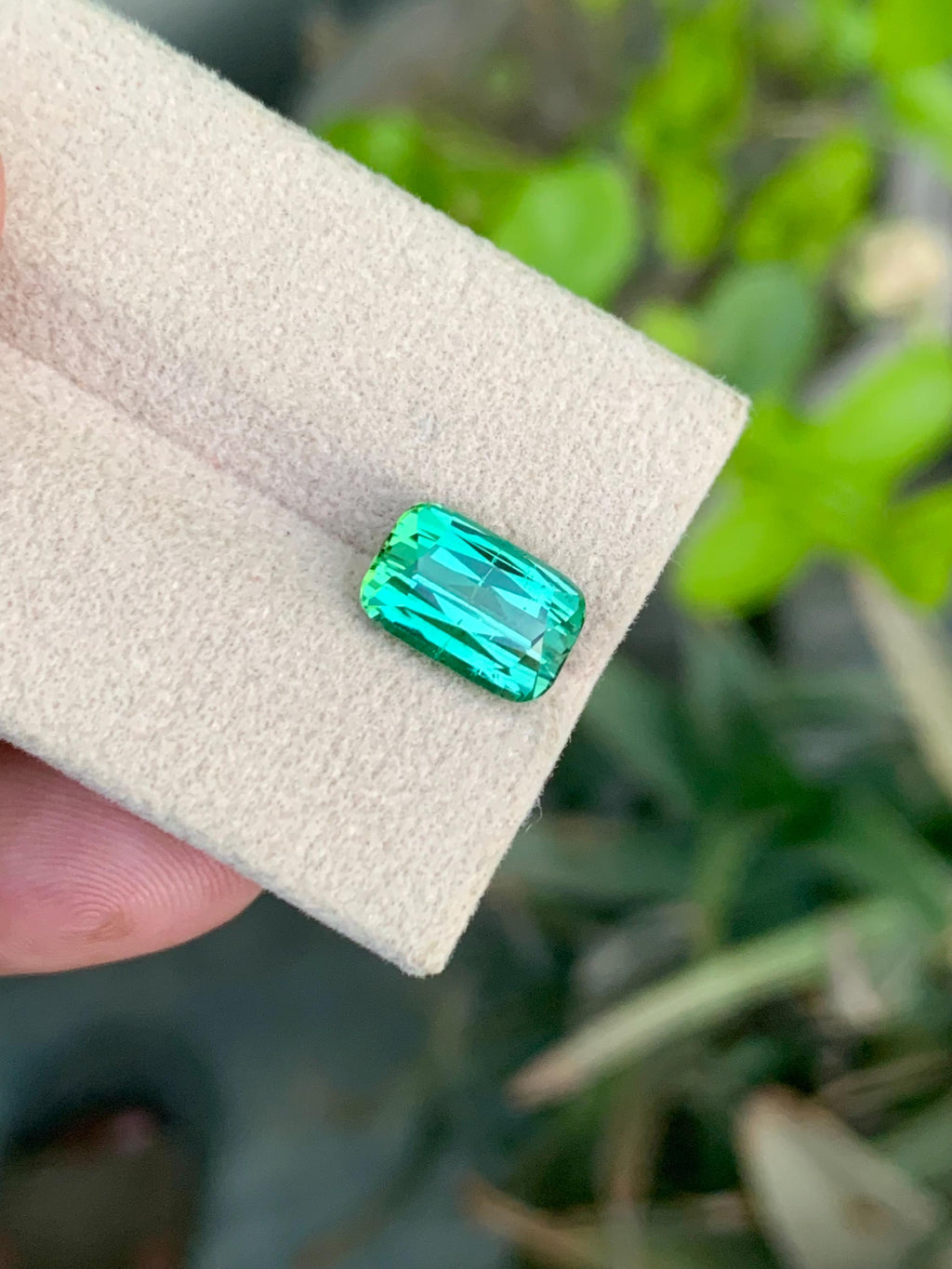 Green Tourmaline Gemstone: 3.70CT Cushion Cut, Afghanistan Origin