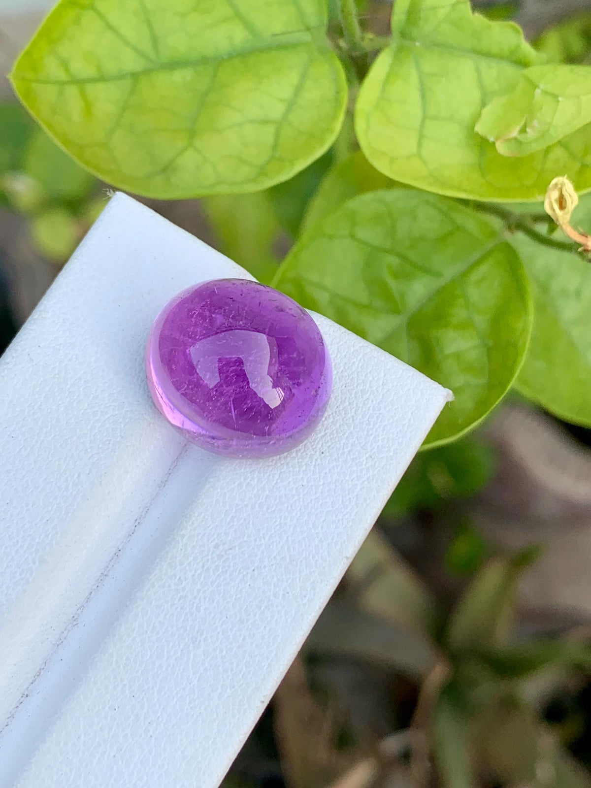 Magenta Pink Kunzite Cabochon: 25.95 CT Oval Gemstone