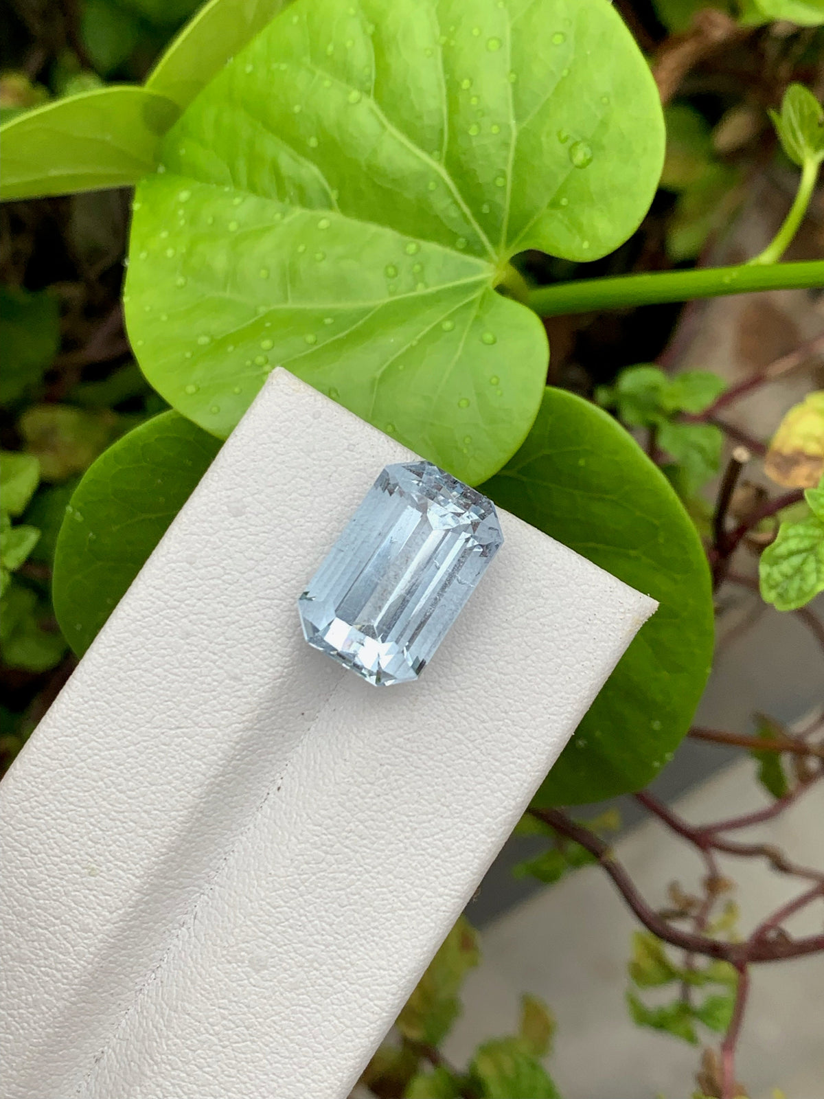Santa Maria Aquamarine Gemstone: Emerald Cut, 10.20 CT, VVS Flawless