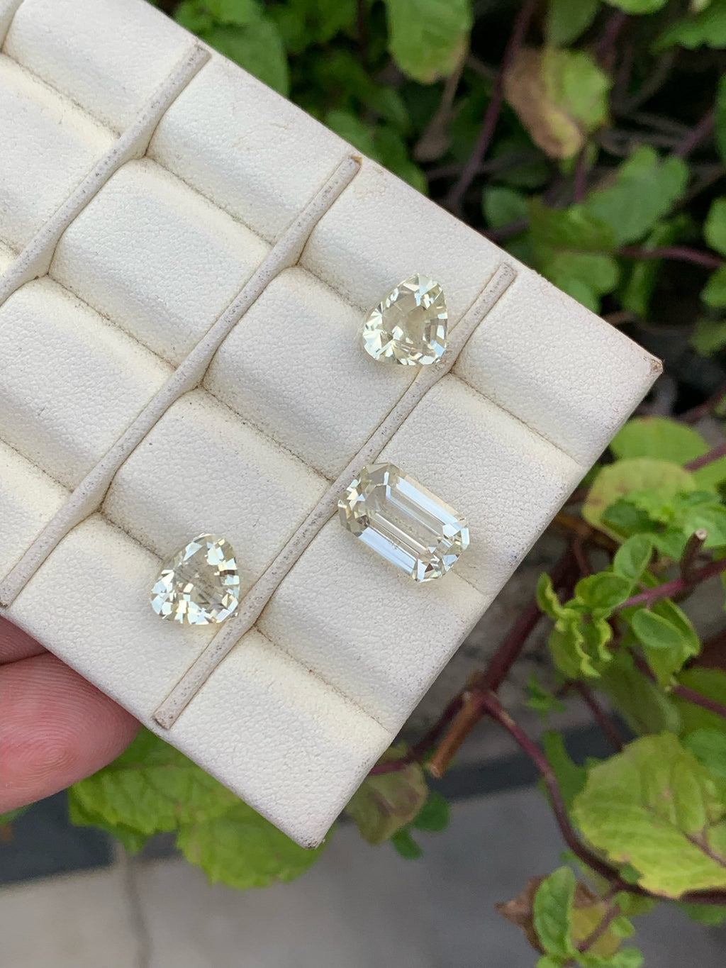 Natural yellow Kunzite set Gemstones - 15.05 Carats