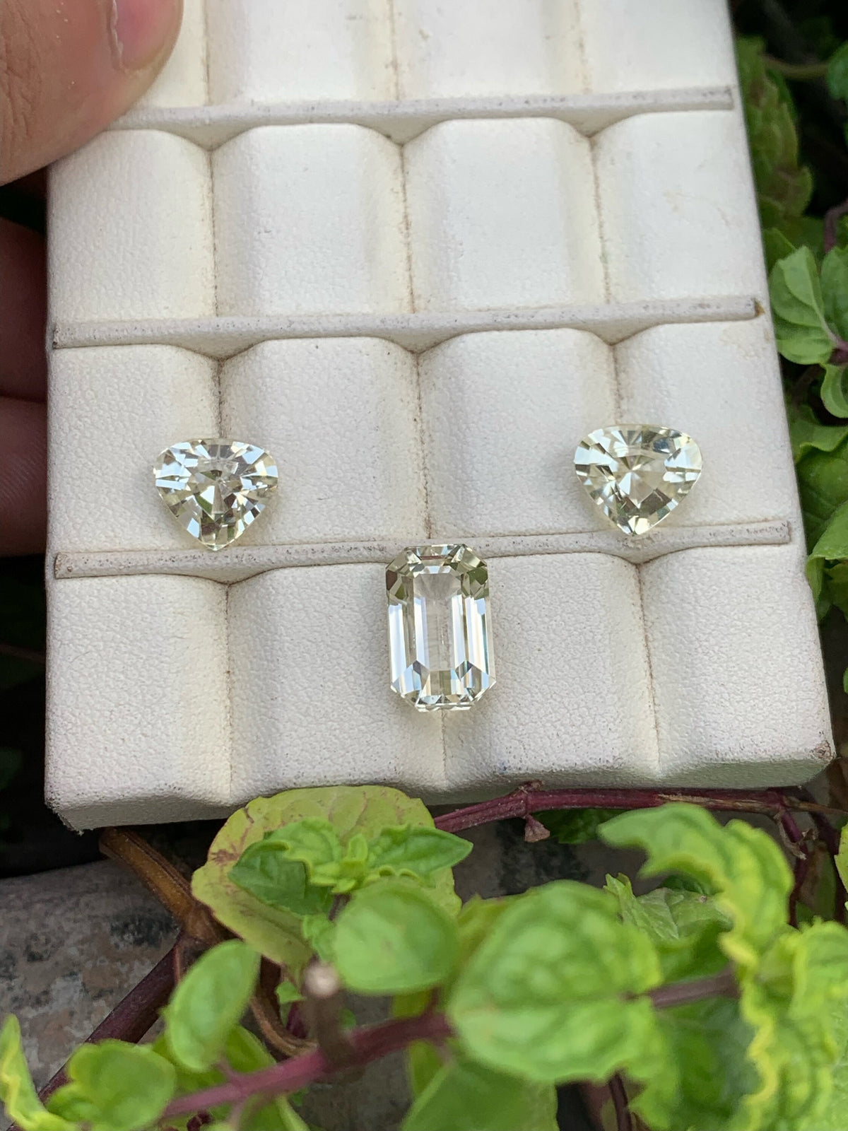 Natural yellow Kunzite set Gemstones - 15.05 Carats