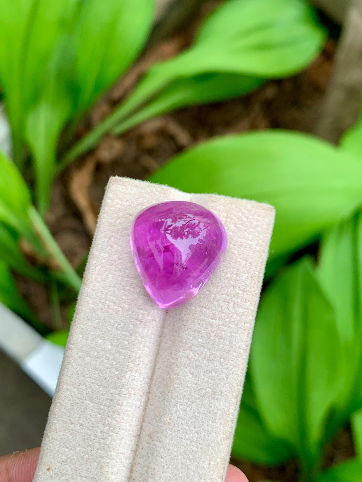 33.85 Carat Natural Pink Kunzite – Pear Shape Cabochon, Afghanistan Origin, Collector’s Loose Gemstone