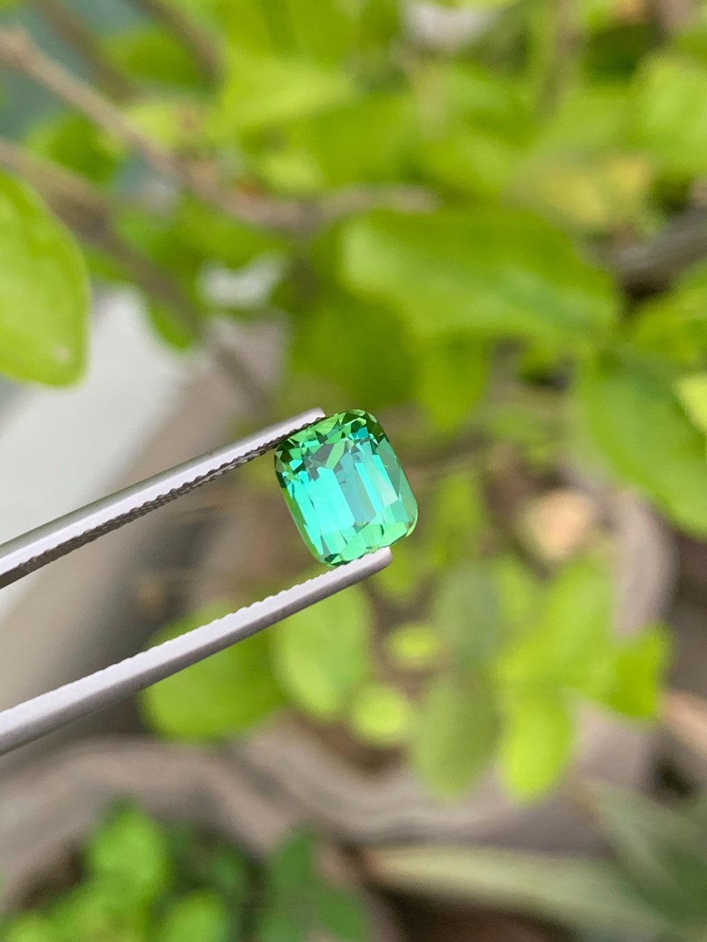 Natural Bluish Green Tourmaline Gemstone: Cushion Cut, 3.40 CT