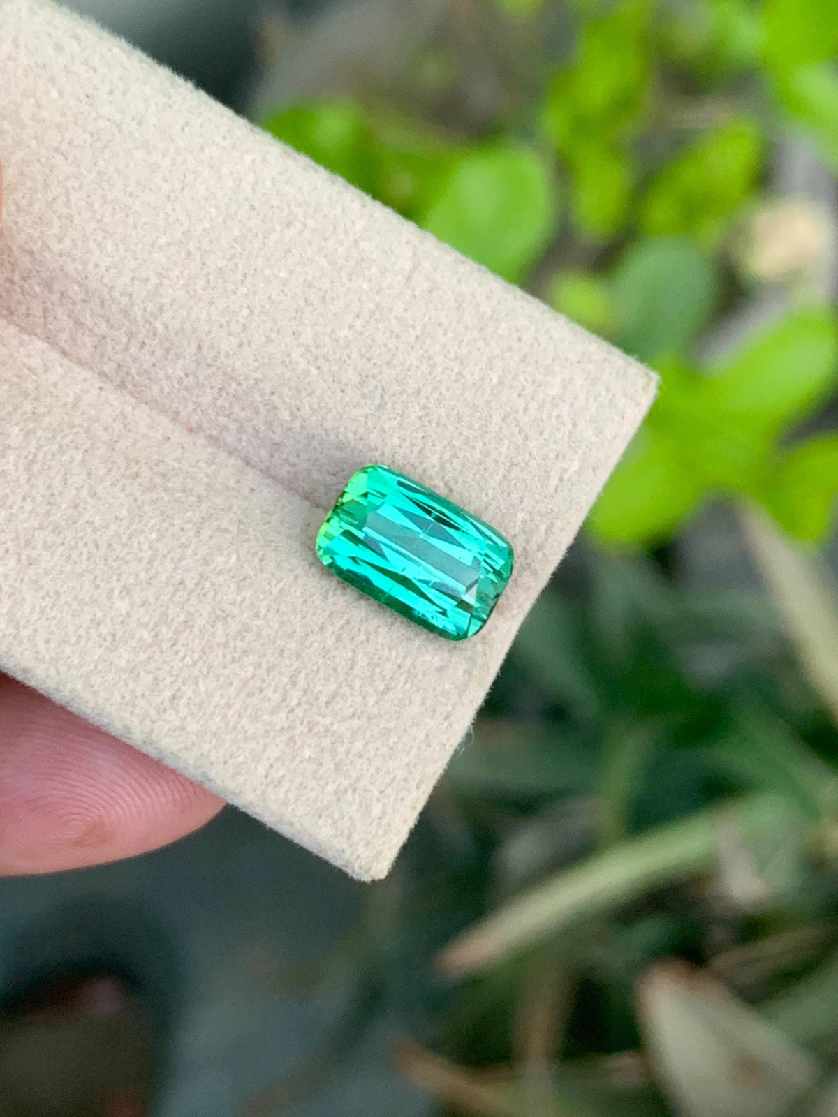 Green Tourmaline Gemstone: 3.70CT Cushion Cut, Afghanistan Origin