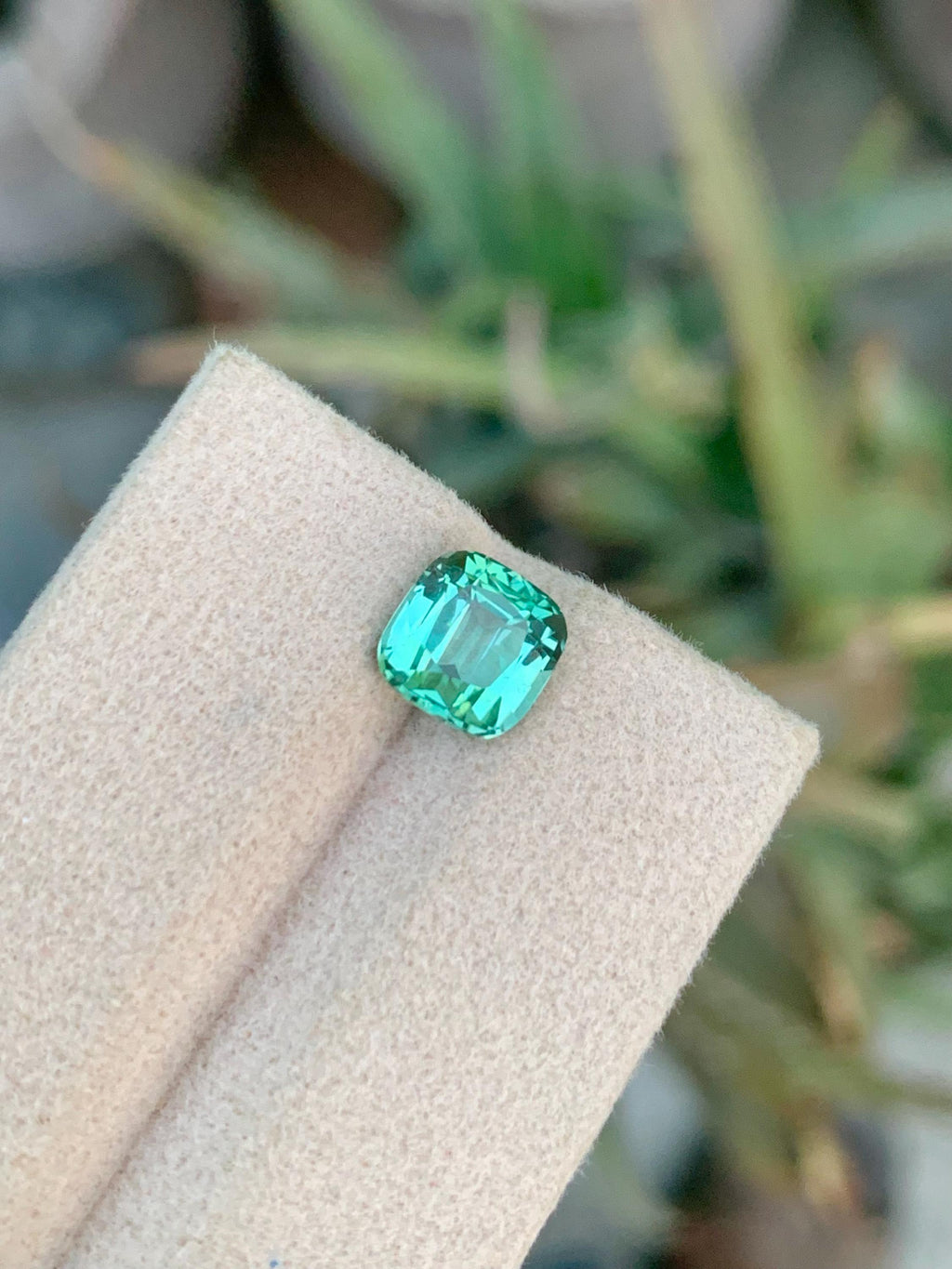 2.25 CT Blue Green Tourmaline Gemstone: Cushion Cut, Afghanistan