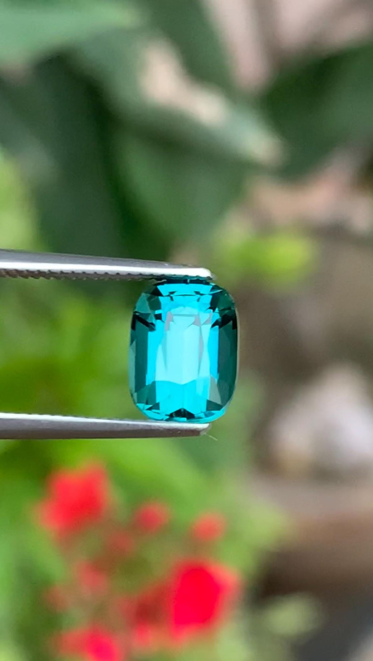 2.00 Carat Natural Lagoon Tourmaline – cushion Cut, Vivid Blue-Green, Eye-Clean, Afghanistan Origin