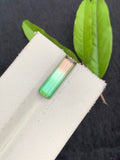 4.05 CT Emerald Cut Watermelon Tourmaline Gemstone: Bi-Color Jewelry Making Stone