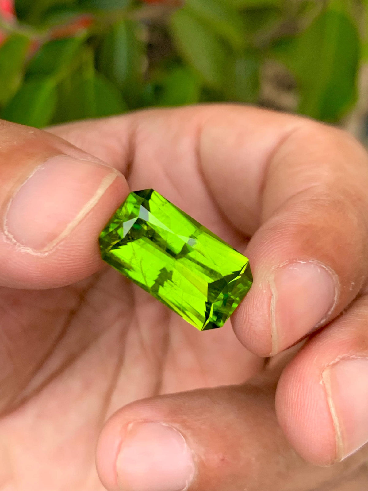 Peridot 11.70ct Fancy Cut Green Gemstone 17.7x10mm