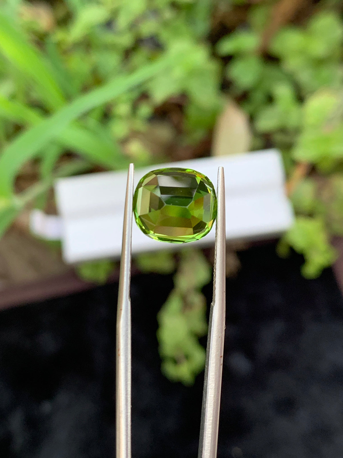 Cushion Cut Olive Peridot Gemstone: Natural VVS Clarity, 6.35 Carat