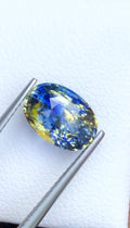 Bi Color Sapphire 4 Ct Oval Cut – Blue-Yellow Gem from Sri Lanka