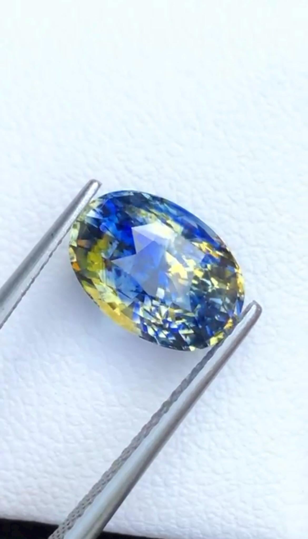 Bi Color Sapphire 4 Ct Oval Cut – Blue-Yellow Gem from Sri Lanka
