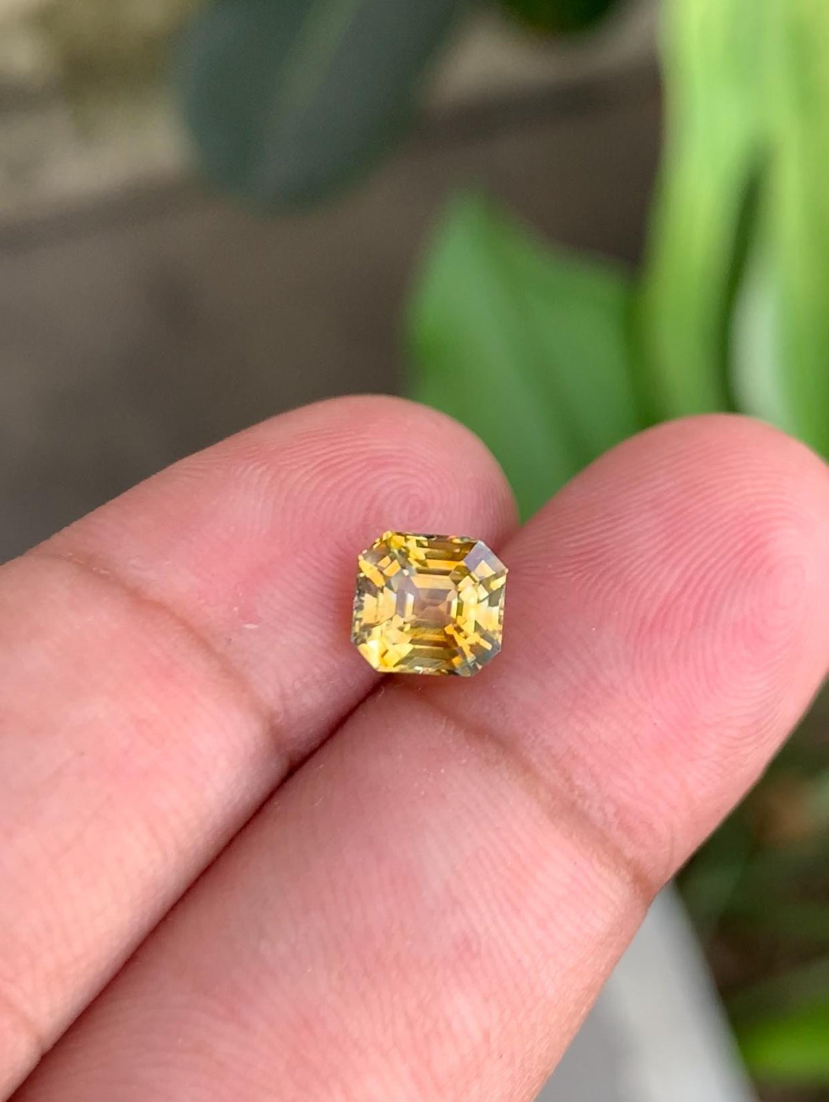 2.12ct Faceted Yellow Sapphire Gemstone: Natural Untreated Corundum