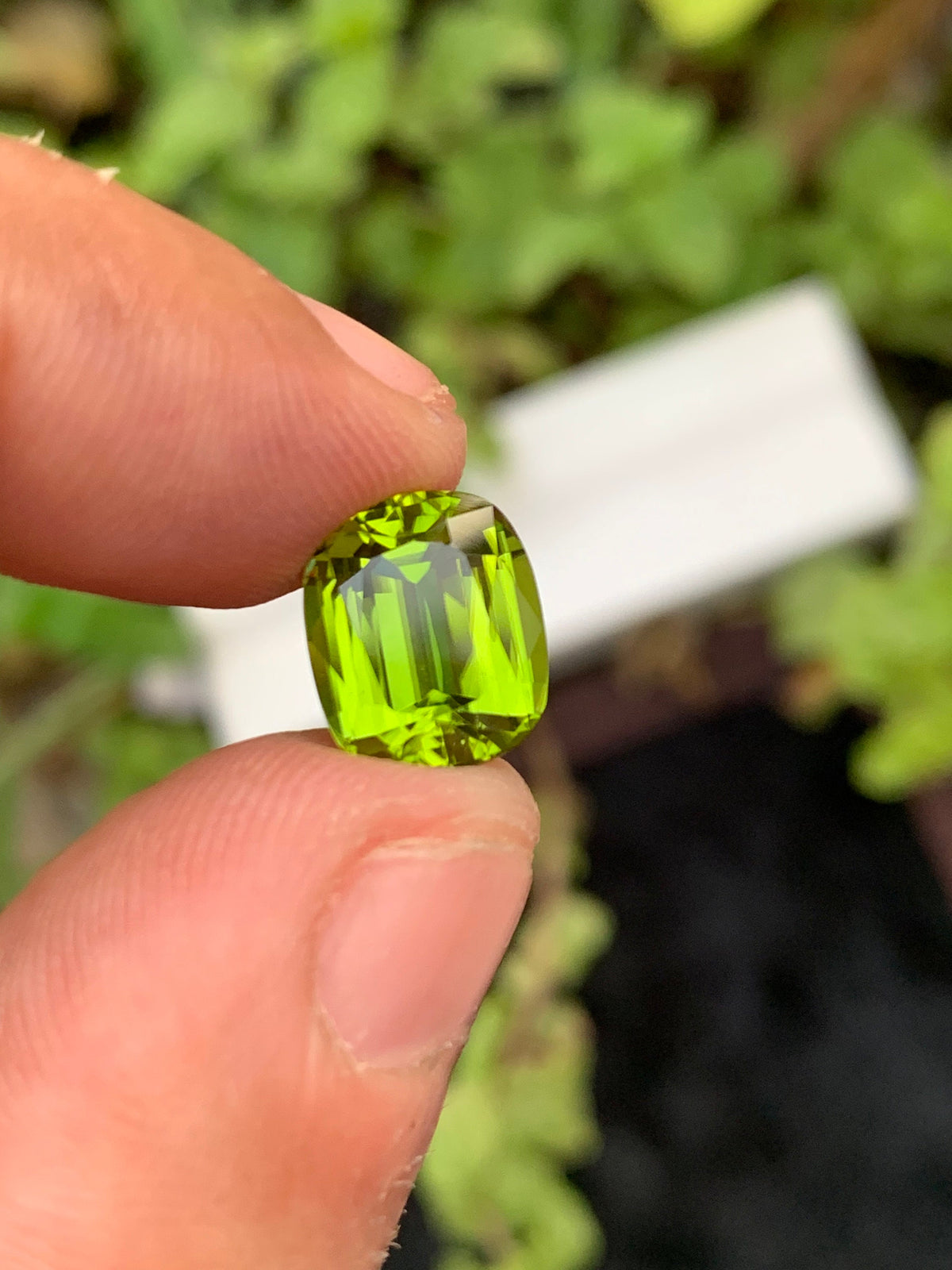Lime Green Peridot Gemstone: 4.30 Carat Cushion Cut, August Birthstone