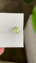 1.16 Carat Yellow-Green Chrysoberyl Gemstone: Round Cut Loose Stone