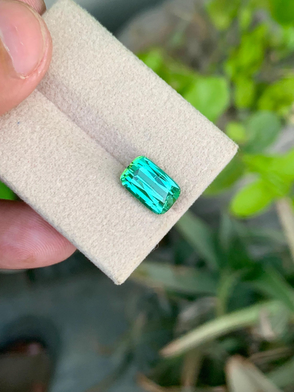 Green Tourmaline Gemstone: 3.70CT Cushion Cut, Afghanistan Origin