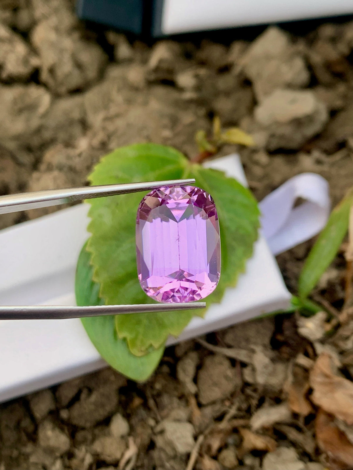 Faceted Light Pink Kunzite Gemstone: Cushion Cut, 15.55 CT