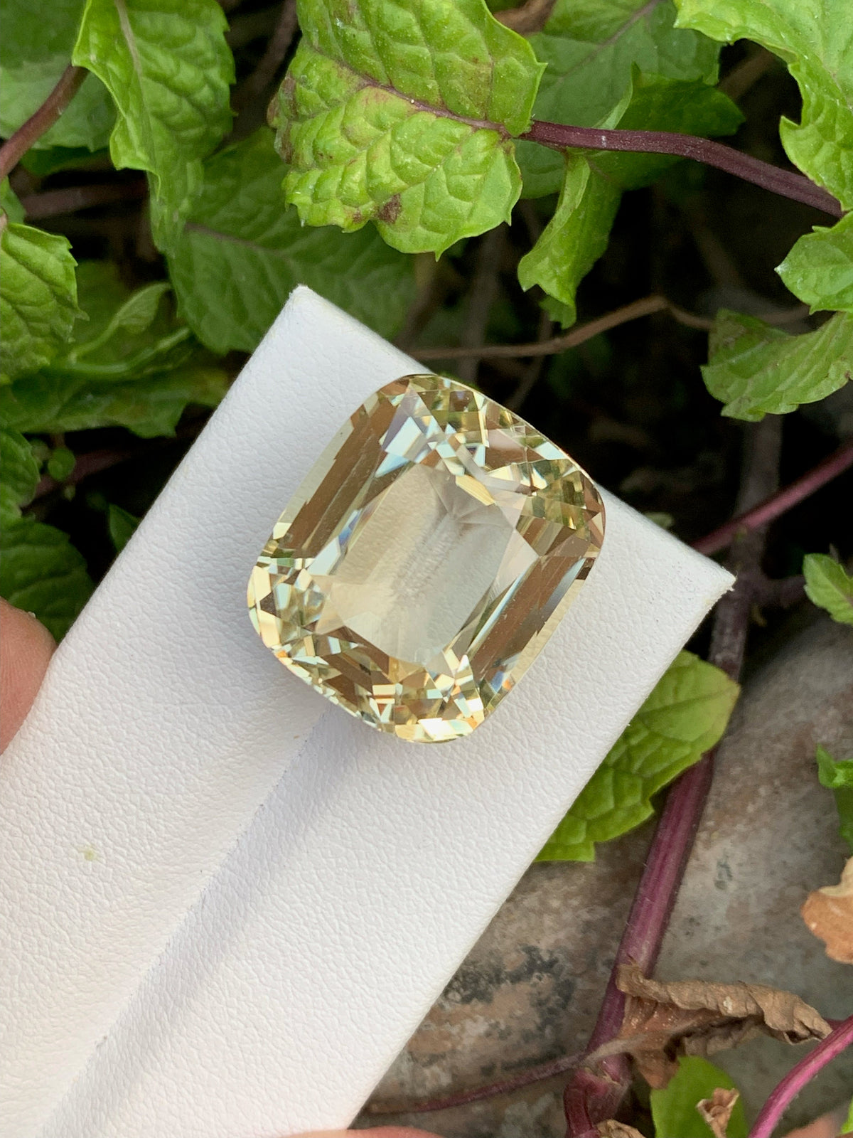 Canary Yellow Kunzite Gemstone: 42.10 CT Cushion Cut Triphane