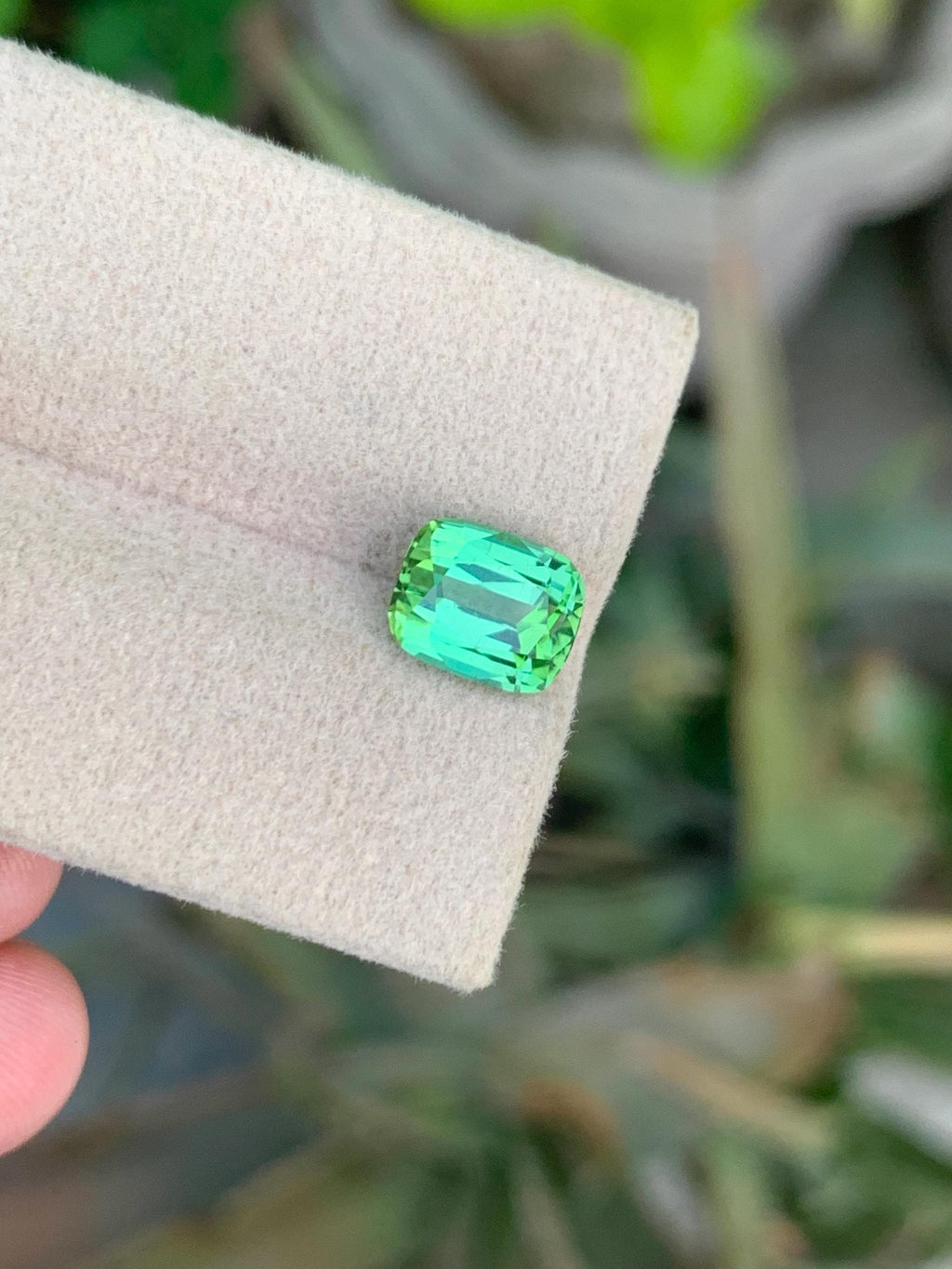 Bluish Green Tourmaline Gemstone: 2.50 CT Cushion Cut, Afghanistan