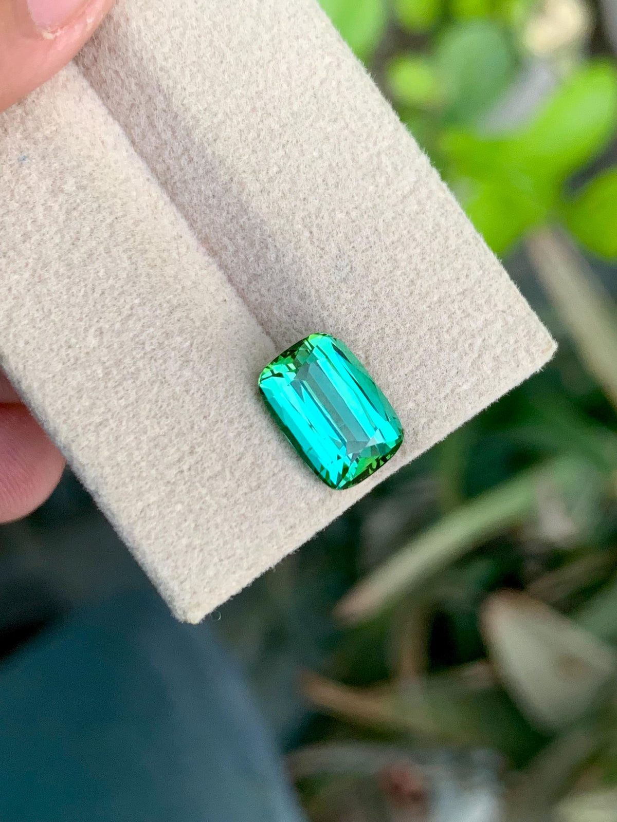 3.35 CT Blue Green Tourmaline Gemstone: Cushion Cut, Jaba Mine