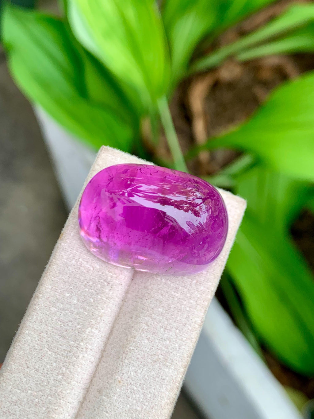 101.95 Carat Natural Deep Pink Kunzite – Large Oval Cabochon, Afghanistan Origin, Collector’s Gemstone