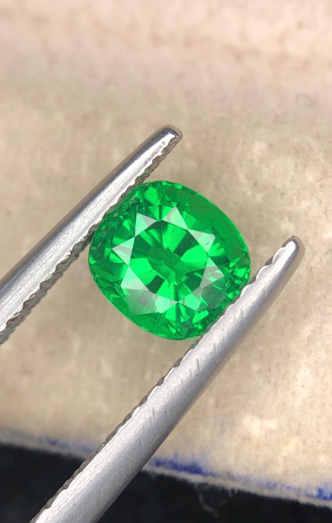 Tsavorite Garnet 1.00ct Cushion Cut Vivid Green Gemstone from Tanzania