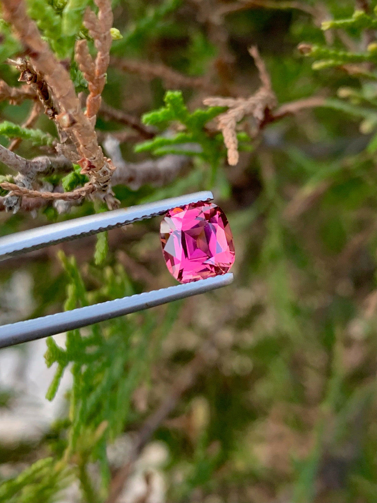 Pink Tourmaline Gemstone: 1.90 CT Cushion Cut, October Birthstone