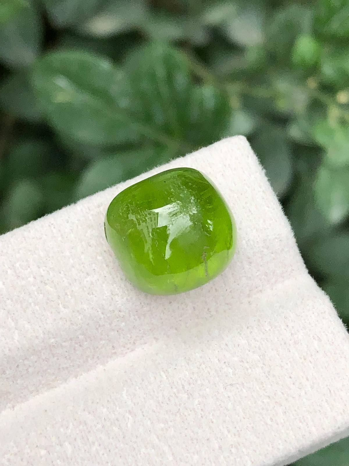 Green Peridot 14.15ct Cabochon Gemstone from Pakistan