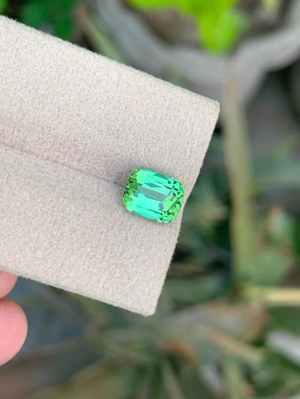 Bluish Green Tourmaline Gemstone: 2.50 CT Cushion Cut, Afghanistan
