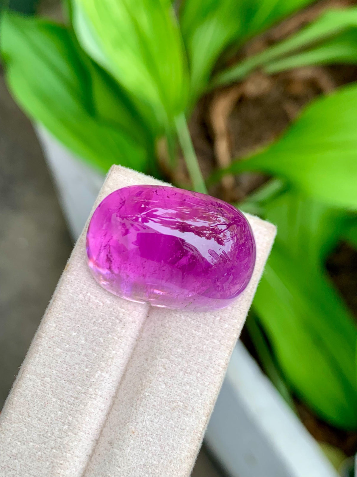 101.95 Carat Natural Deep Pink Kunzite – Large Oval Cabochon, Afghanistan Origin, Collector’s Gemstone