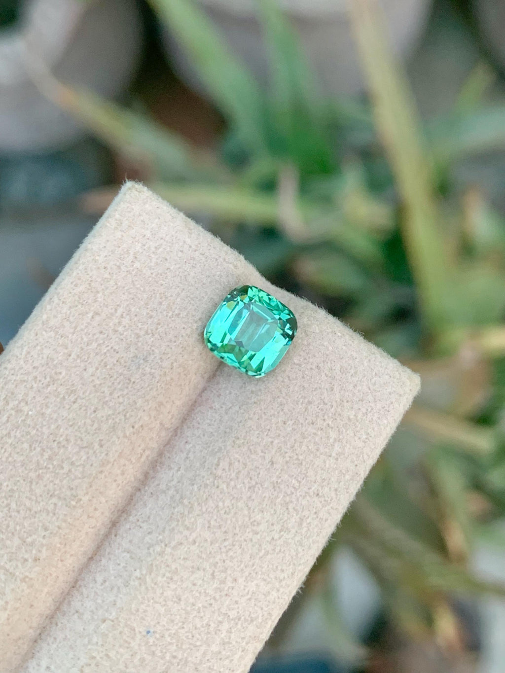 2.25 CT Blue Green Tourmaline Gemstone: Cushion Cut, Afghanistan