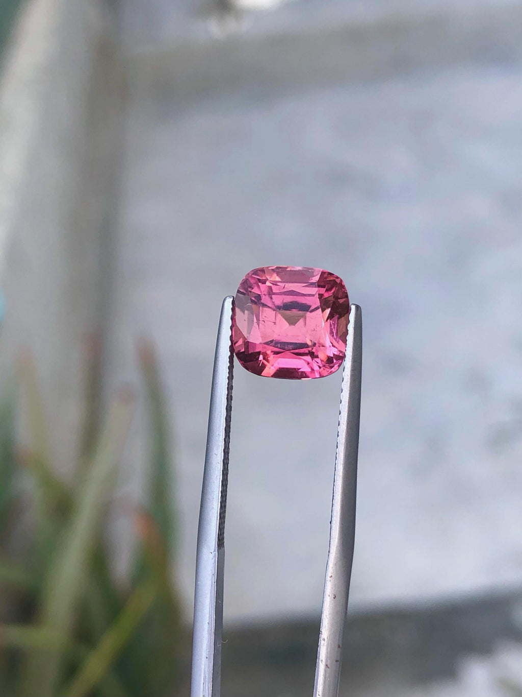 Pink Tourmaline Gemstone: 5.00 Carat Cushion Cut, October Birthstone