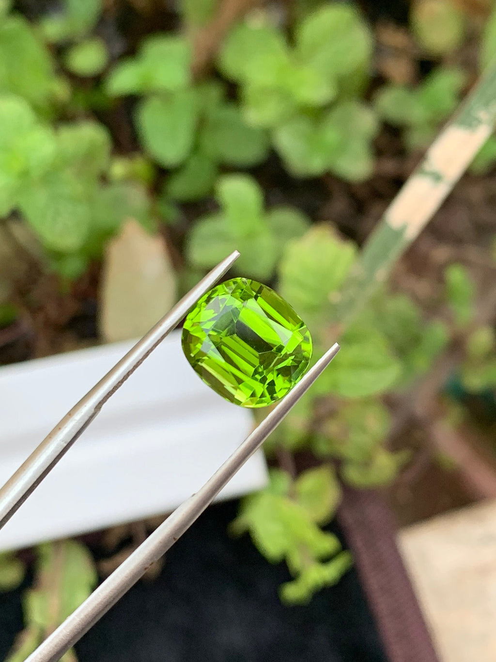 Cushion Cut Olive Peridot Gemstone: Natural VVS Clarity, 6.35 Carat