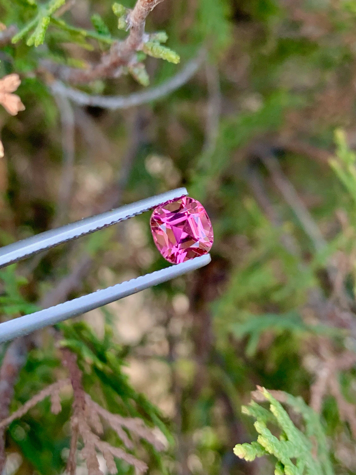 1.75CT Pink Tourmaline Gemstone: Cushion Cut, Afghan Origin