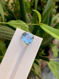 Santa Maria Aquamarine Gemstone: 10.45 CT Cushion Cut, Brazil